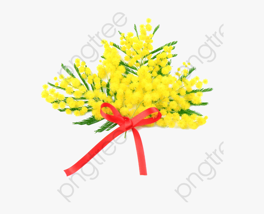 Mimosa Clipart - Мимоза Клипарт, Transparent Clipart