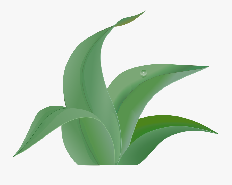 Green, Leafy, Plants, Leaves, Weeds, Grass, Greenery - Jungle Leaves Clipart, Transparent Clipart