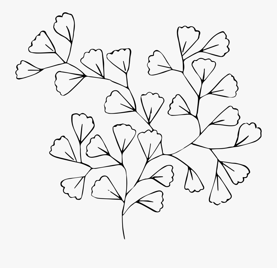 Free Stock Vector Clip - Line Art, Transparent Clipart