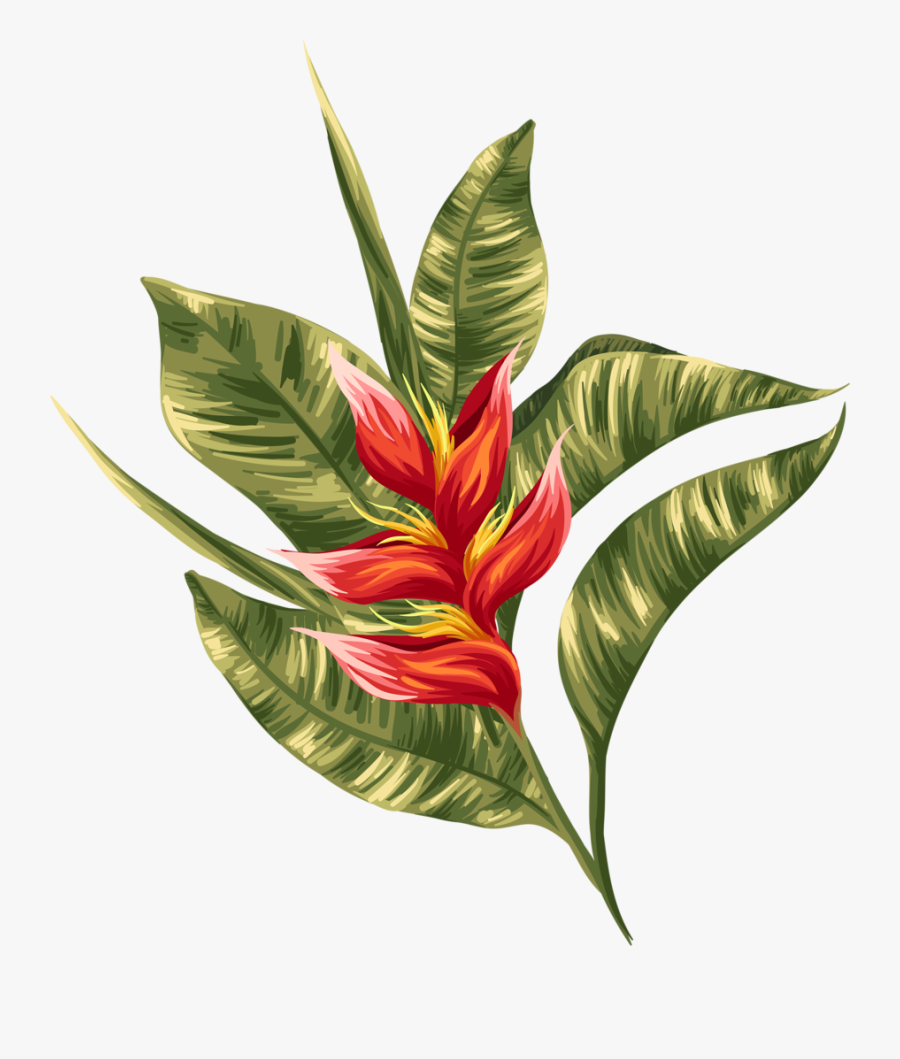 Transparent Greenery Clipart - Tropical Flowers, Transparent Clipart