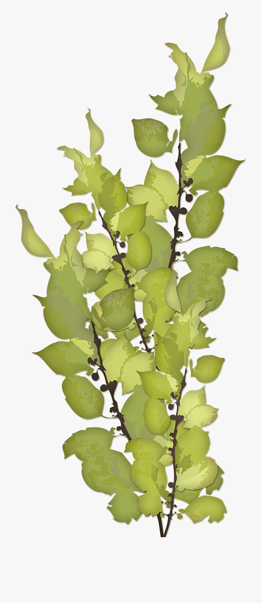 Our Lady Of Sorrows Feast Day 15 September, Transparent Clipart