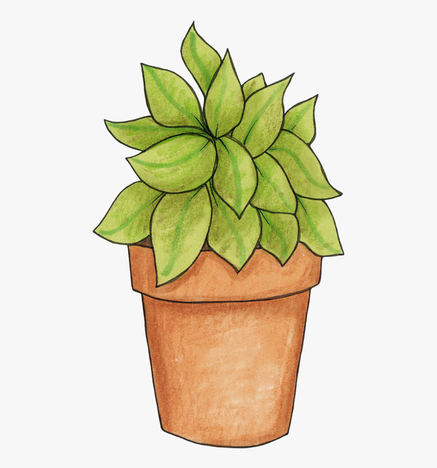 Pot Plant Clip Art - Potted Plant Clipart Png, Transparent Clipart