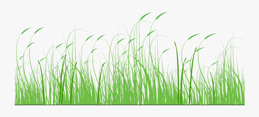 #ftestickers #clipart #grass #greenery #groundcover - Sweet Grass, Transparent Clipart