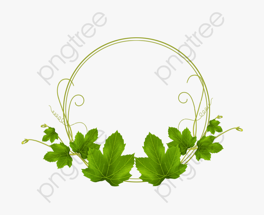 Leaf Circle Png - Verde Molduras Circulares Com Folhas, Transparent Clipart