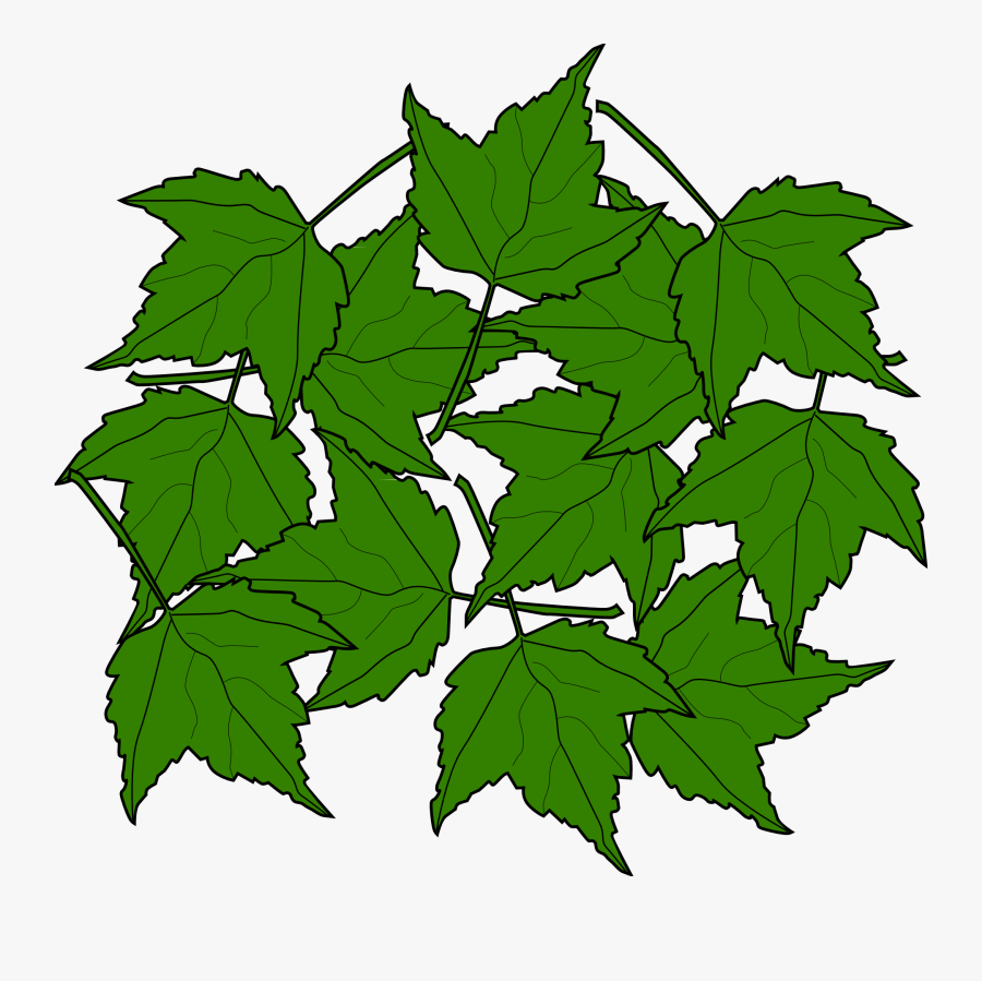 Maple, Fall, Leaves, Nature, Autumn, Foliage, Greenery - Portable Network Graphics, Transparent Clipart