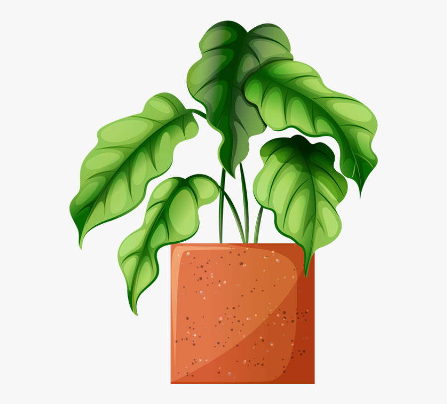 Leafy Plant, Transparent Clipart