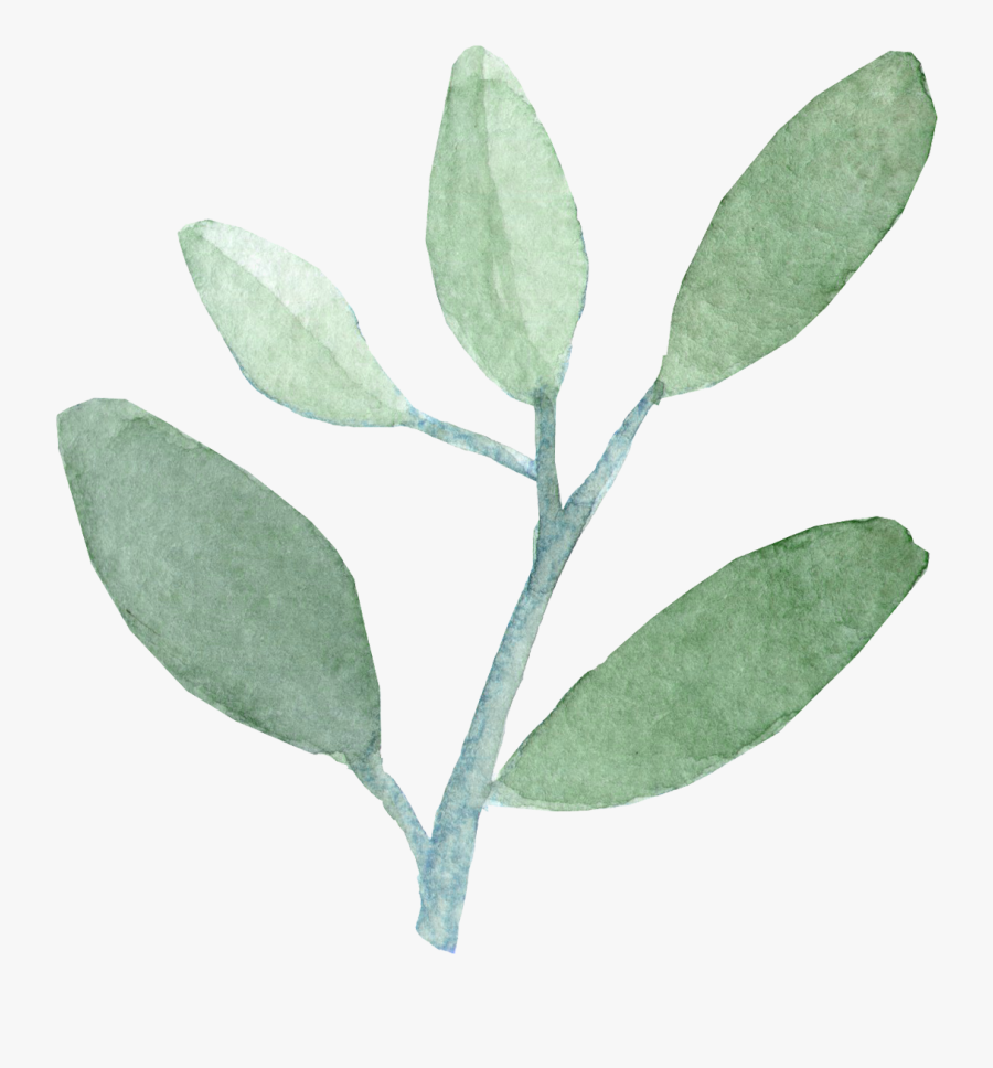 Banner Royalty Free Download Watercolor Png For - Green Watercolor Leaf Png, Transparent Clipart