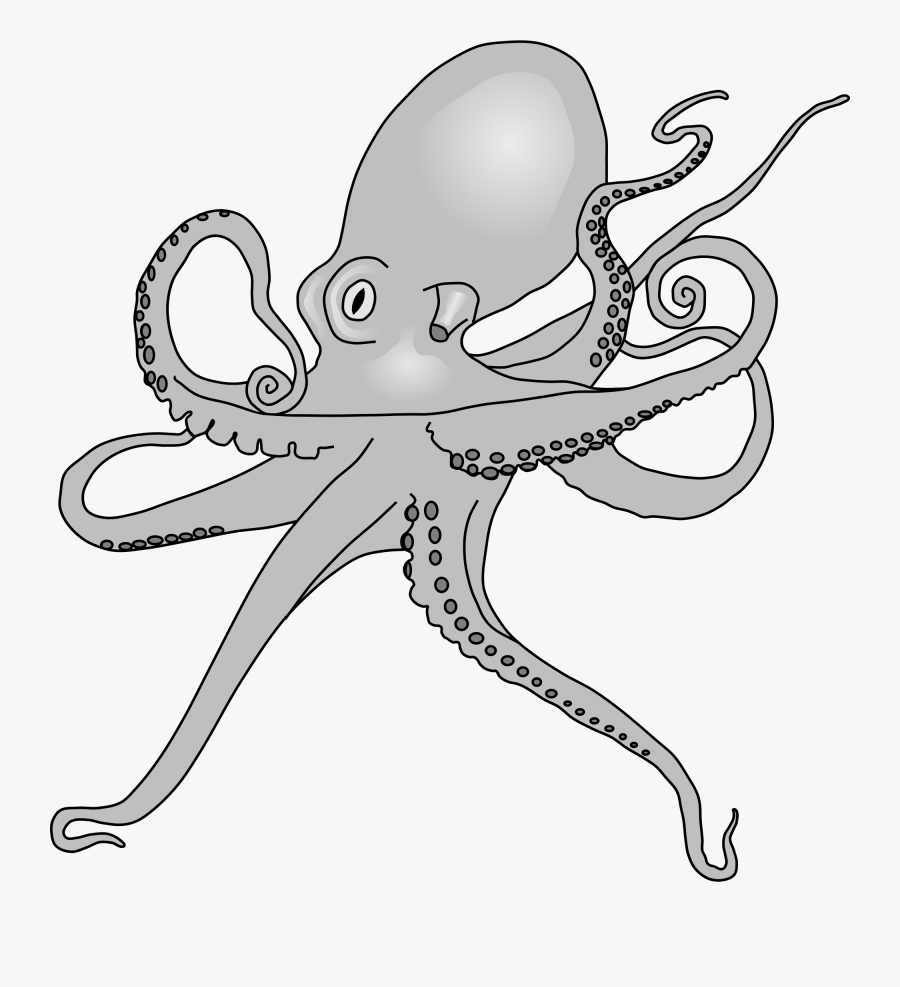 Fileoctopus Drawing - Octopus Sp, Transparent Clipart