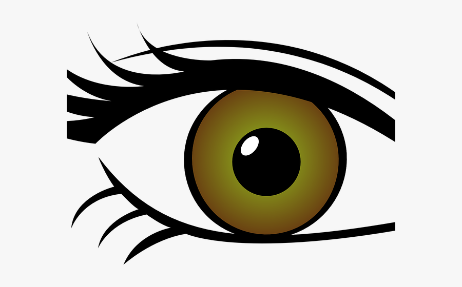 Eyeball Clipart Kind Eye - Transparent Background Eye Clipart Transparent, Transparent Clipart