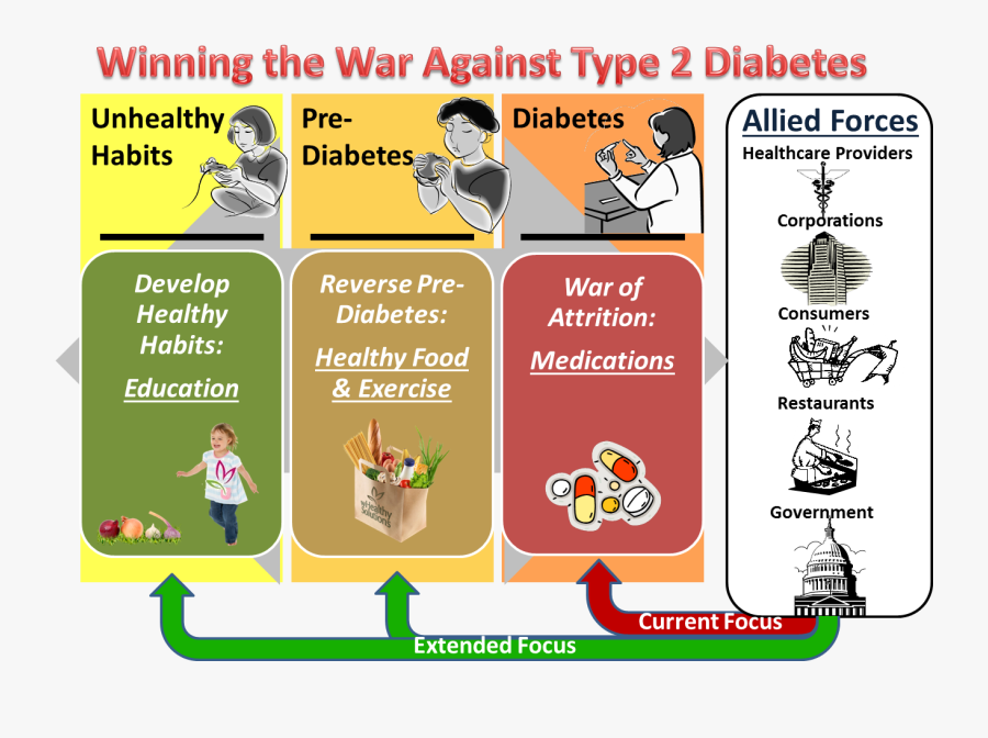 Type Ii Diabetes - Management Of Diabetes In Cartoon, Transparent Clipart