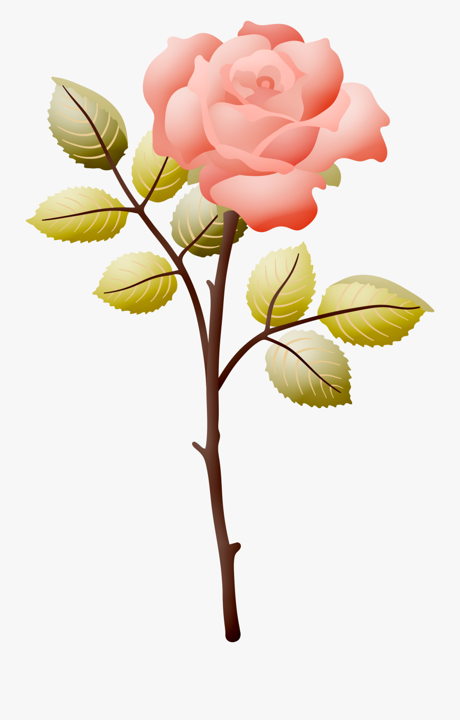 Whatsapp Rose, Transparent Clipart