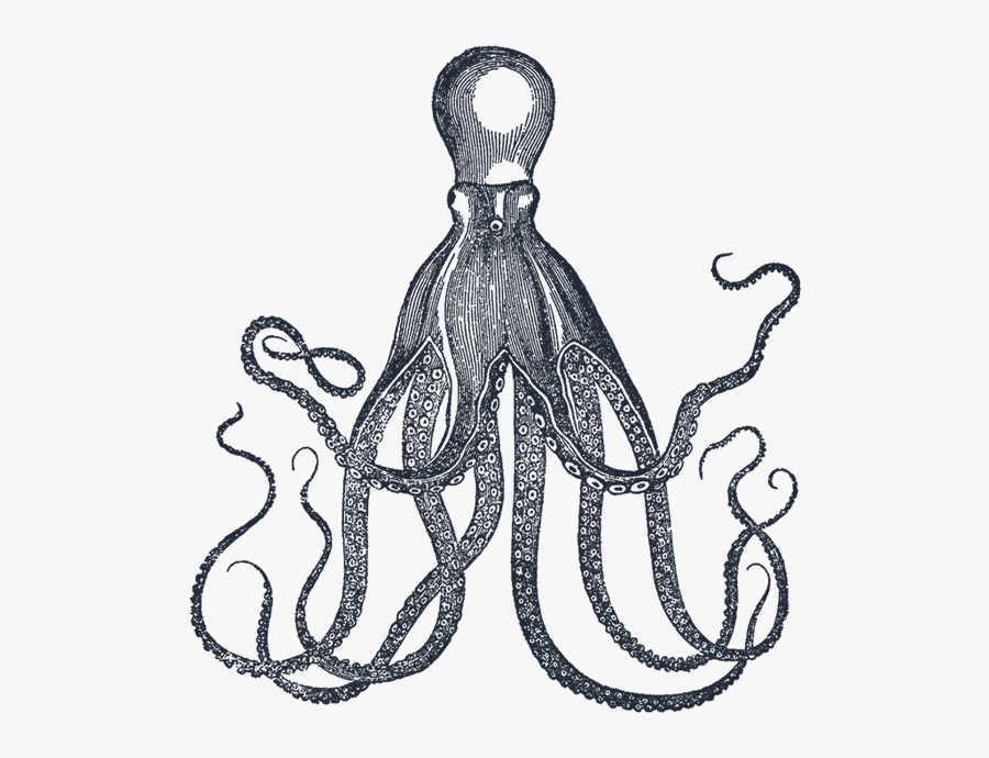 Octopus Vintage Kraken, Transparent Clipart