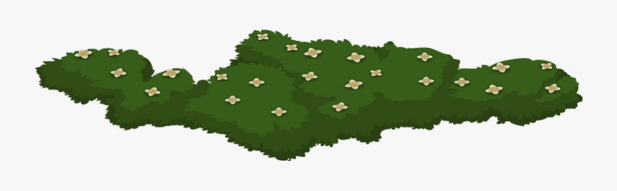 Green Plants Flowers Greenery Transparent Png Images - 3d Sea Greenary Seen, Transparent Clipart