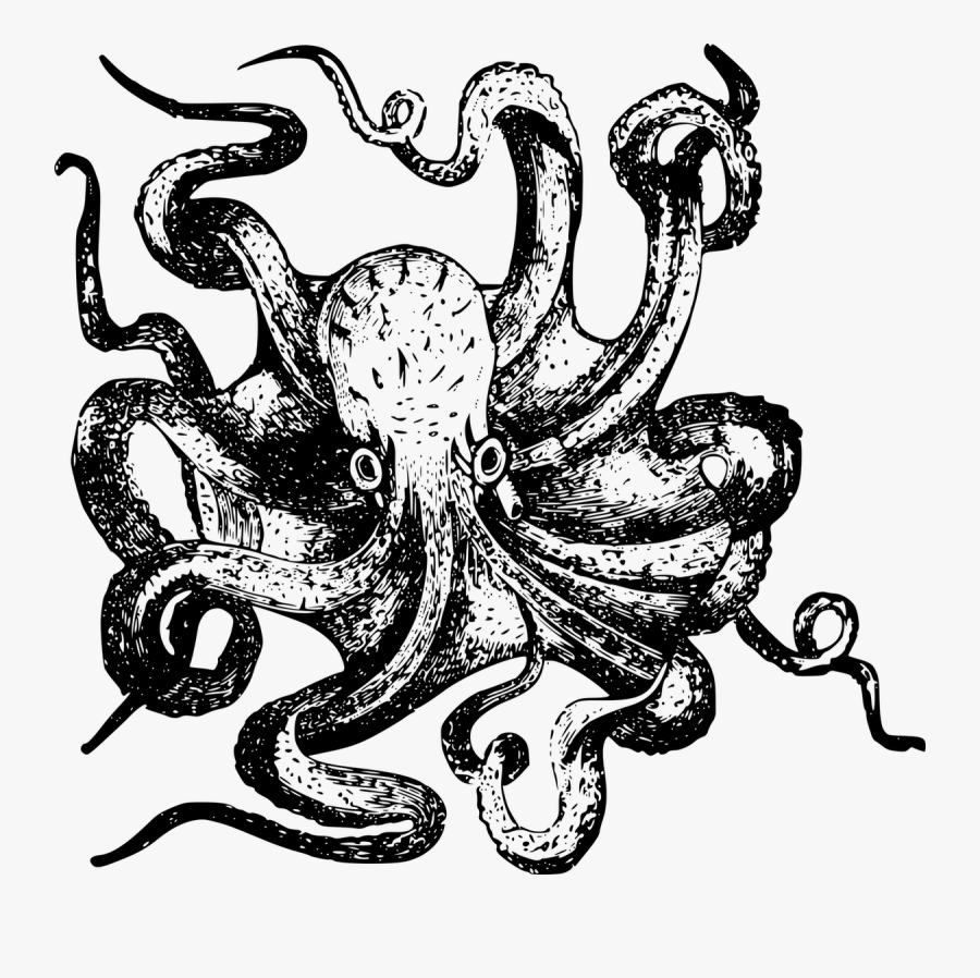 Plastic Network Spread Across Eight Tentacles - Octopus Drawing Transparent, Transparent Clipart
