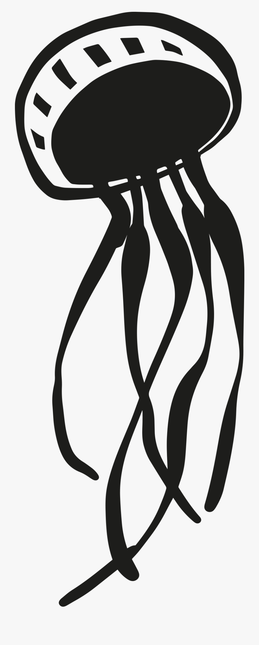 My Hearth Is An Octopus Or My Father On The Shore Of, Transparent Clipart