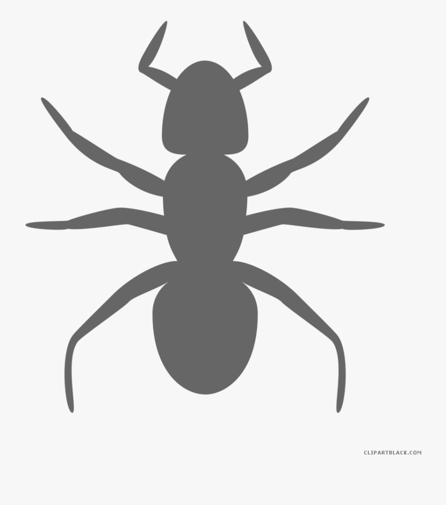 Transparent Banner Clipart Black And White - Ant Clip Art, Transparent Clipart