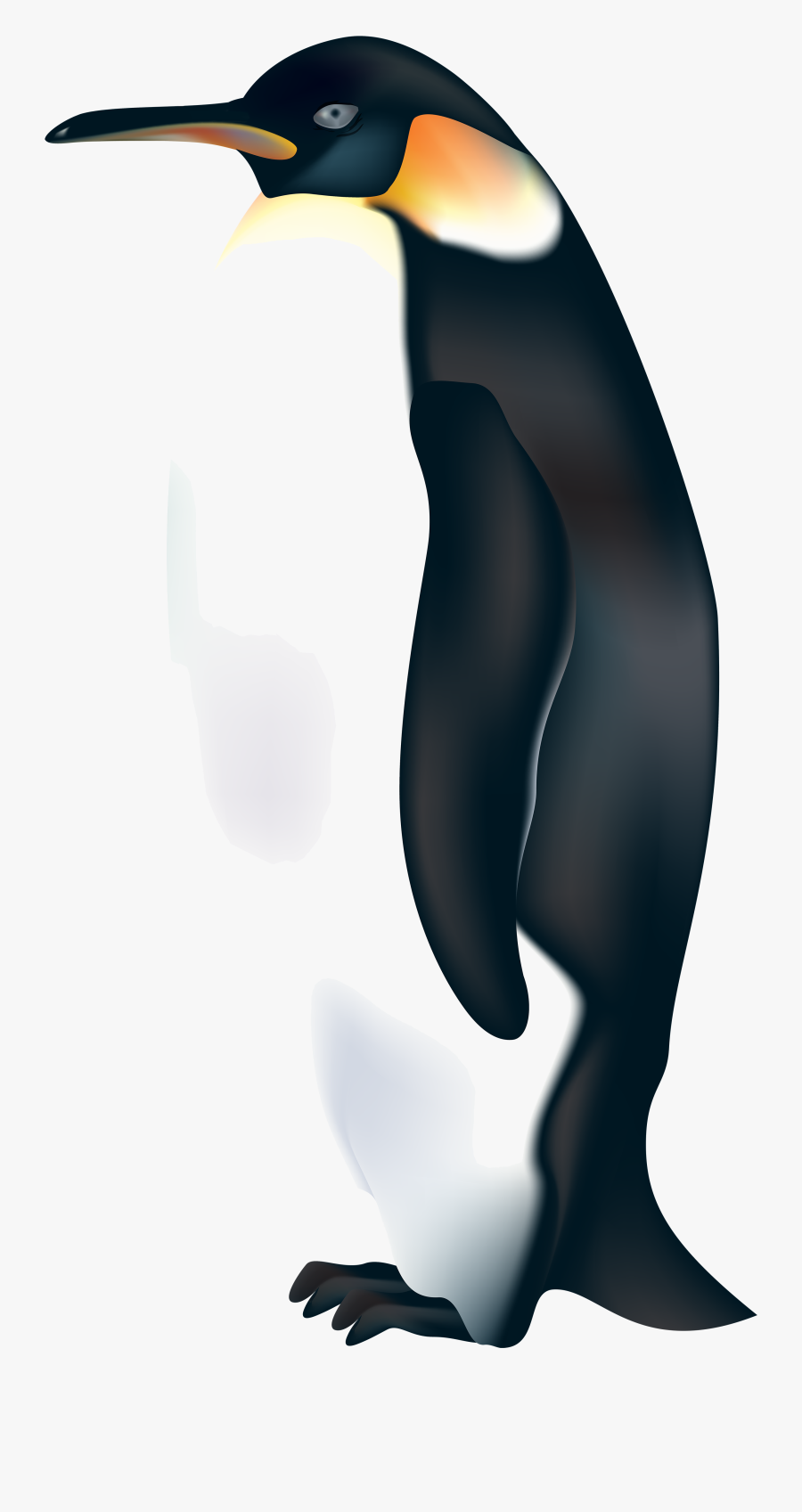 Penguin Best Web Clipart Transparent Png - Emperor Penguin Transparent Background, Transparent Clipart