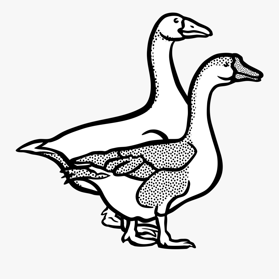 Banner Freeuse Download Canada Line Art Duck Free Commercial - Goose Black And White, Transparent Clipart