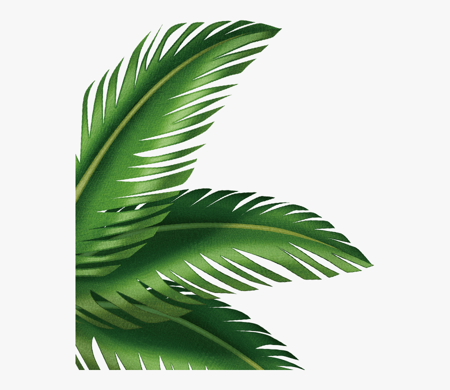 Free Download Shipwrecked Vbs Palm Tree Clipart Palm Clipart Palm Leaves Png Free Transparent Clipart Clipartkey Free Download Shipwrecked Vbs Palm Tree Clipart Palm Clipart Palm Leaves Png Free Transparent Clipart Clipartkey