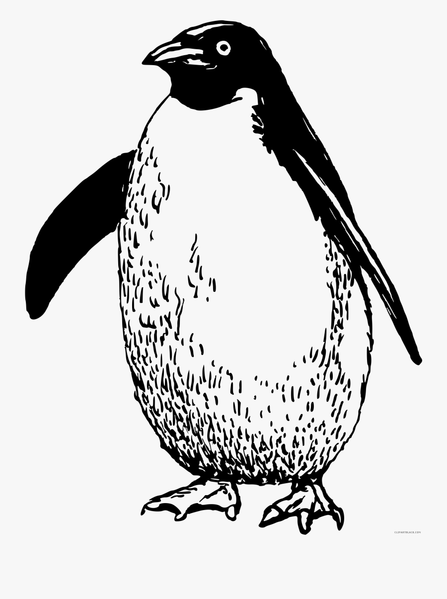 King Drawing At Getdrawings - Emperor Penguin Black And White Clipart, Transparent Clipart