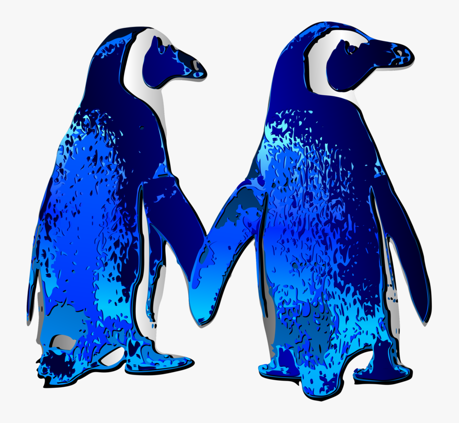 Penguin, Transparent Clipart