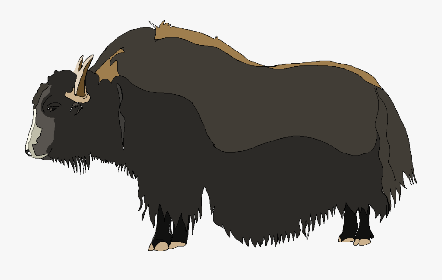 Clker Yak, Transparent Clipart