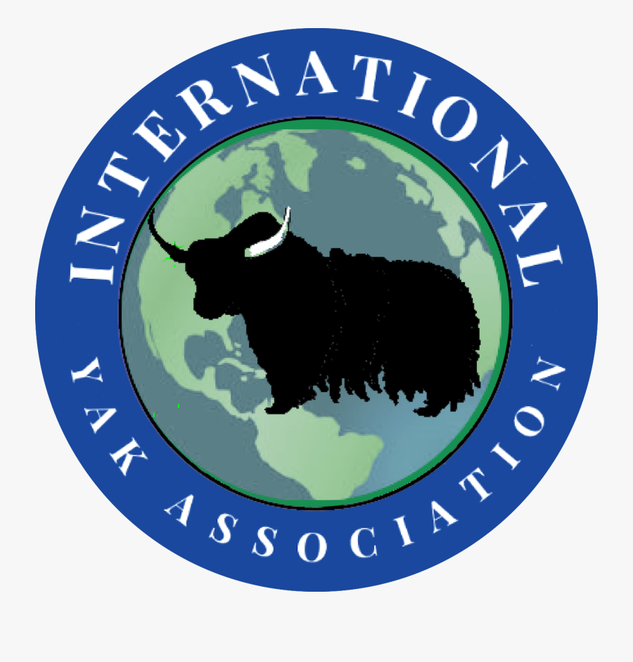 International Yak Association - Newington Youth Fc, Transparent Clipart