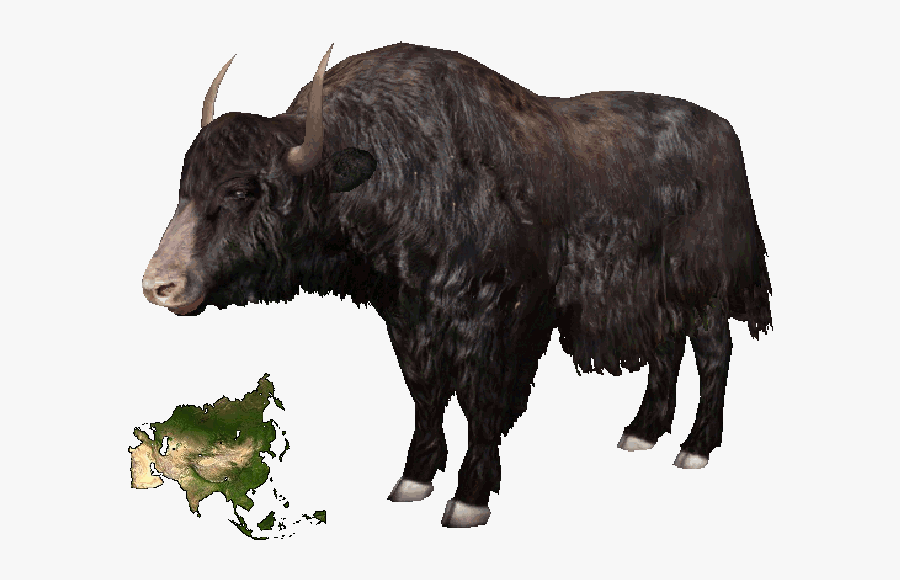 Zoo Tycoon 2 Yak, Transparent Clipart