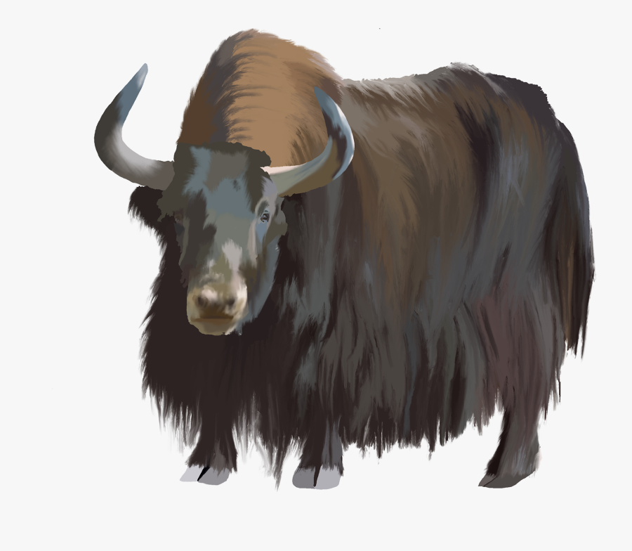 Clip Art Image Of A Yak - Bull, Transparent Clipart