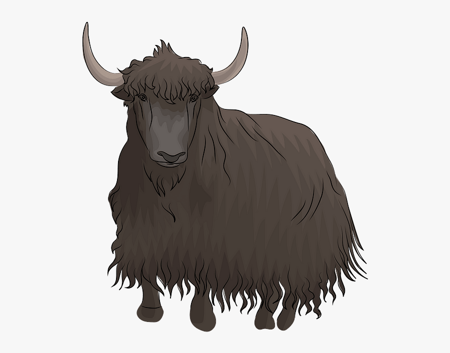 Bull, Transparent Clipart
