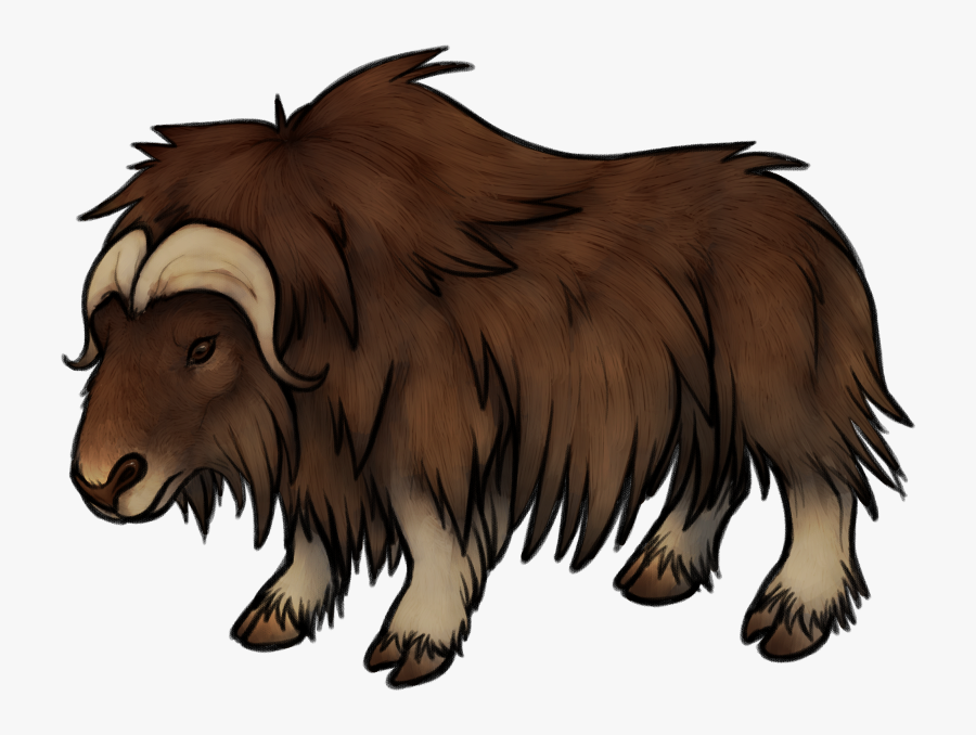 Musk Ox Drawing At Getdrawings - Musk Ox Transparent Background, Transparent Clipart