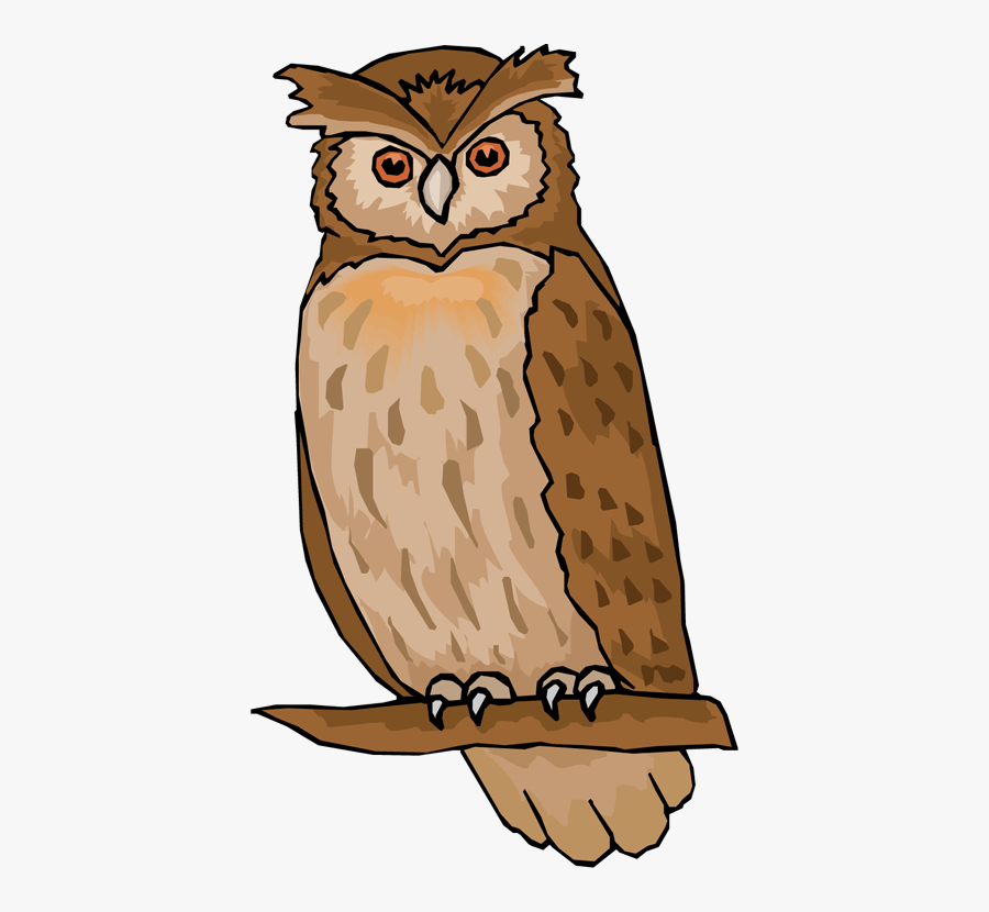 Owl Free Clip Art - Owl Clipart, Transparent Clipart