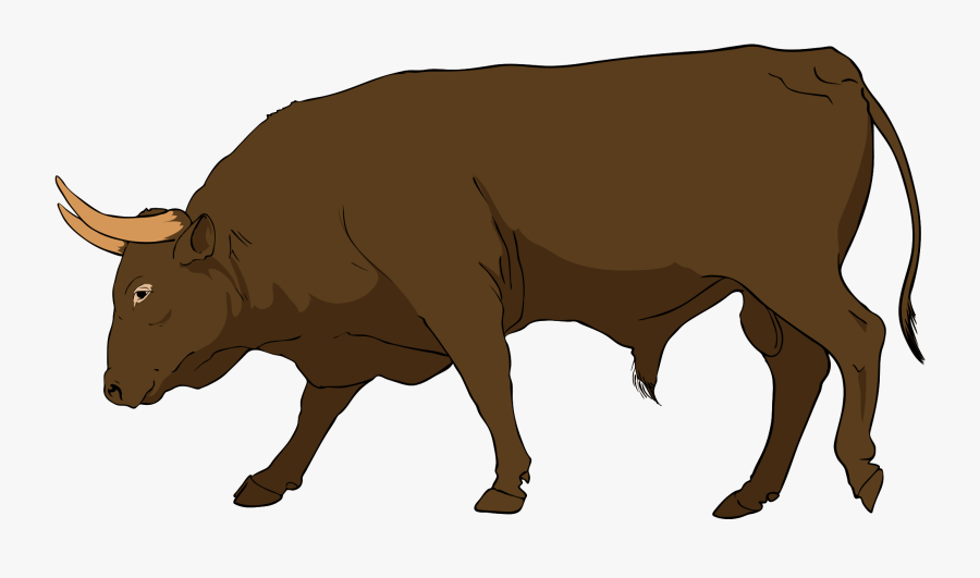 Bull Clipart, Transparent Clipart