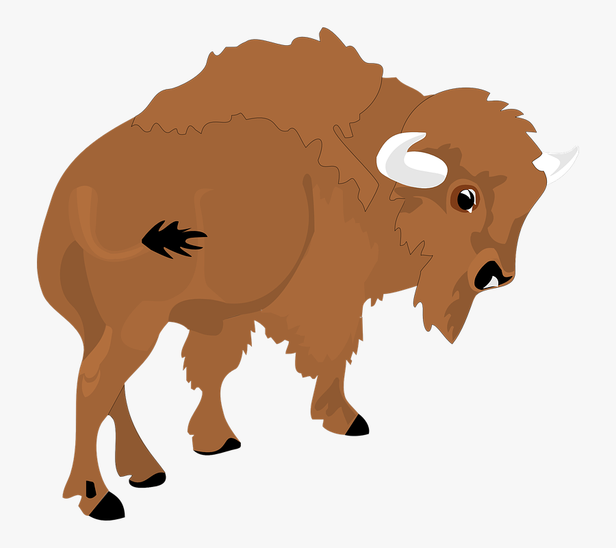 Graphic Freeuse Bison Clip Art At Clker - Bison Clipart Png, Transparent Clipart
