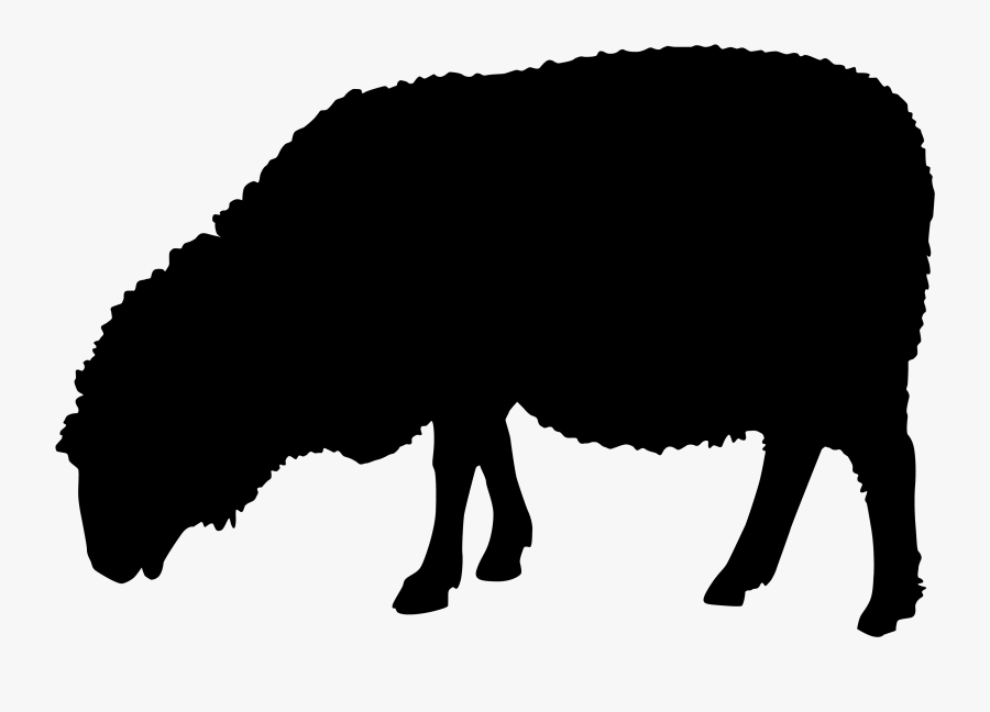 Sheep Silhouette Png, Transparent Clipart