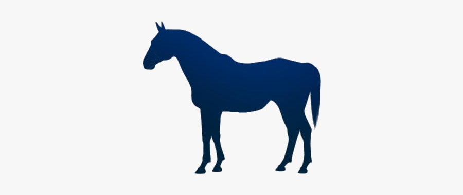 Transparent Tribal Horse Clipart - Indian Country Bred Pony, Transparent Clipart