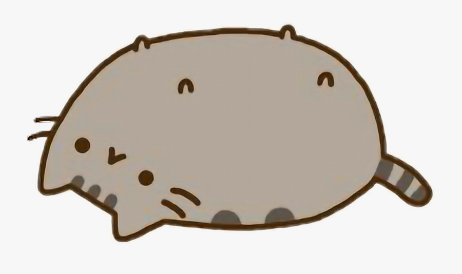 I m a cat