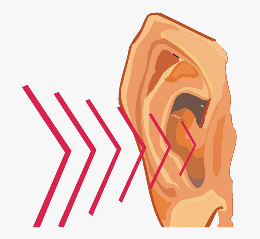 Physical Science Www Makerschool - Sound Clipart, Transparent Clipart