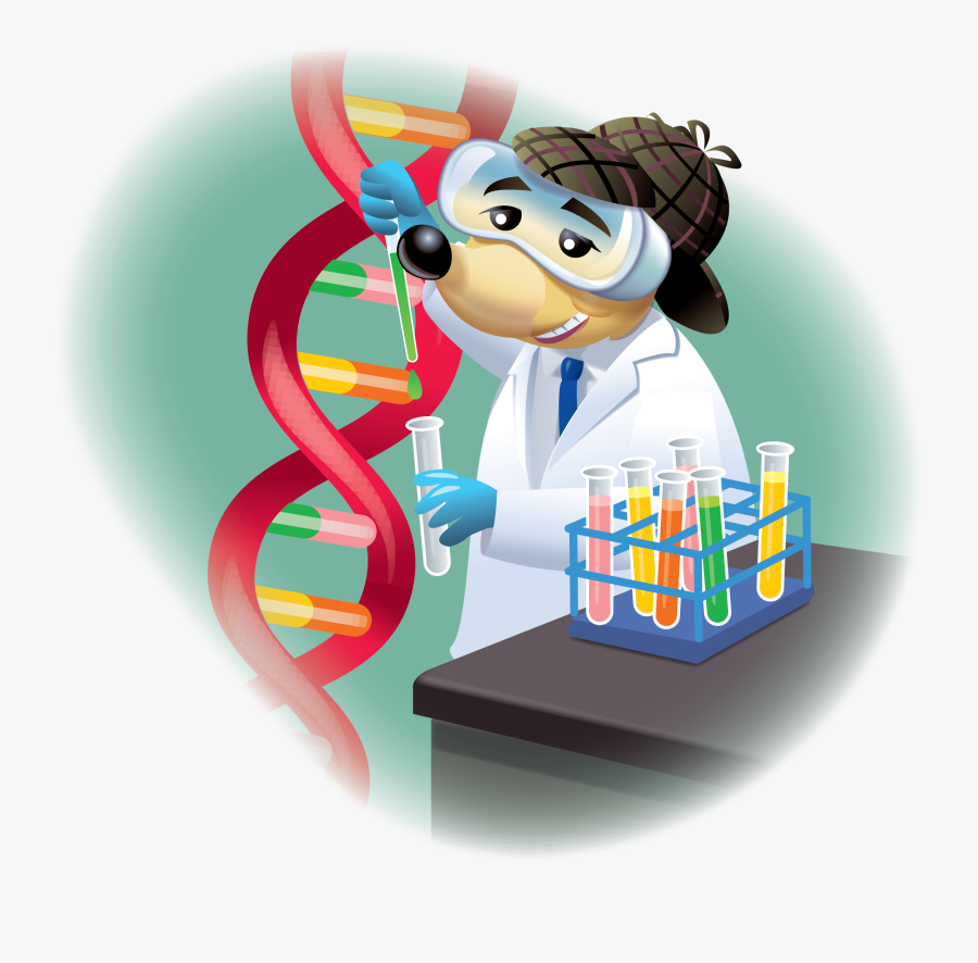 Detective Clipart Mystery Solved - Cartoon, Transparent Clipart