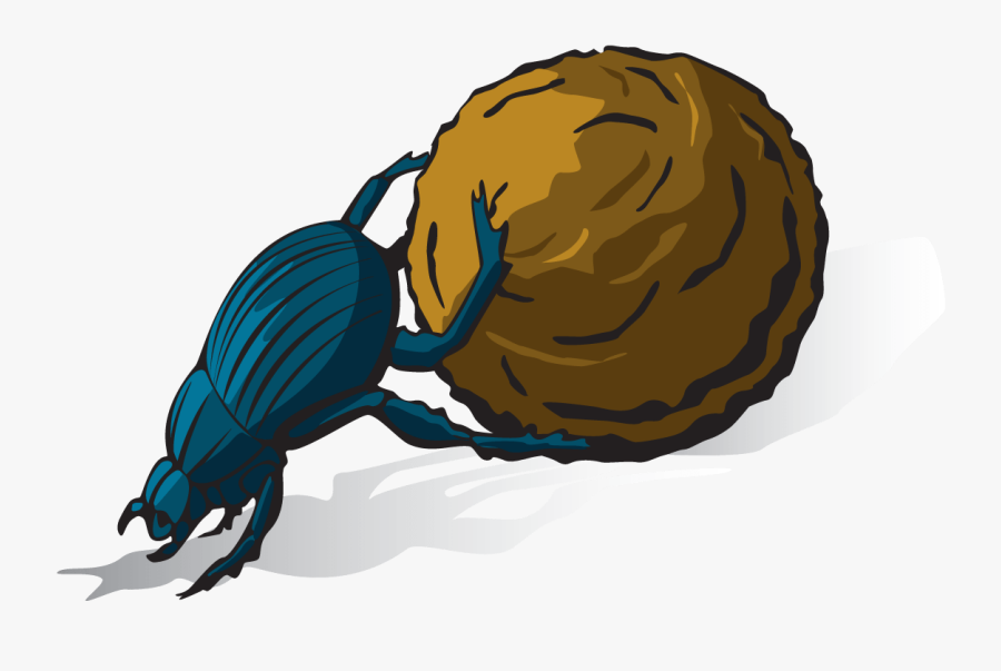 Nature"s Rhythm Playing With Music And Sound Outdoors, Transparent Clipart