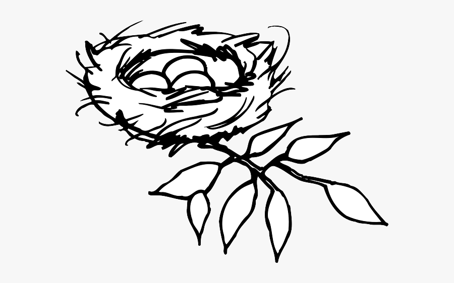 Nest, Eggs, Birds, Branch, Mystery, New, Life, Care - Nest Clipart Png, Transparent Clipart