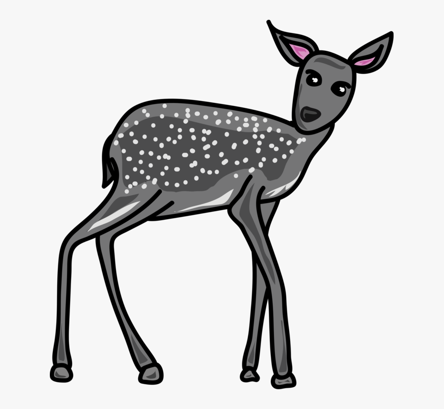 Wildlife,antler,musk Deer - Reh Clipart Transparent, Transparent Clipart