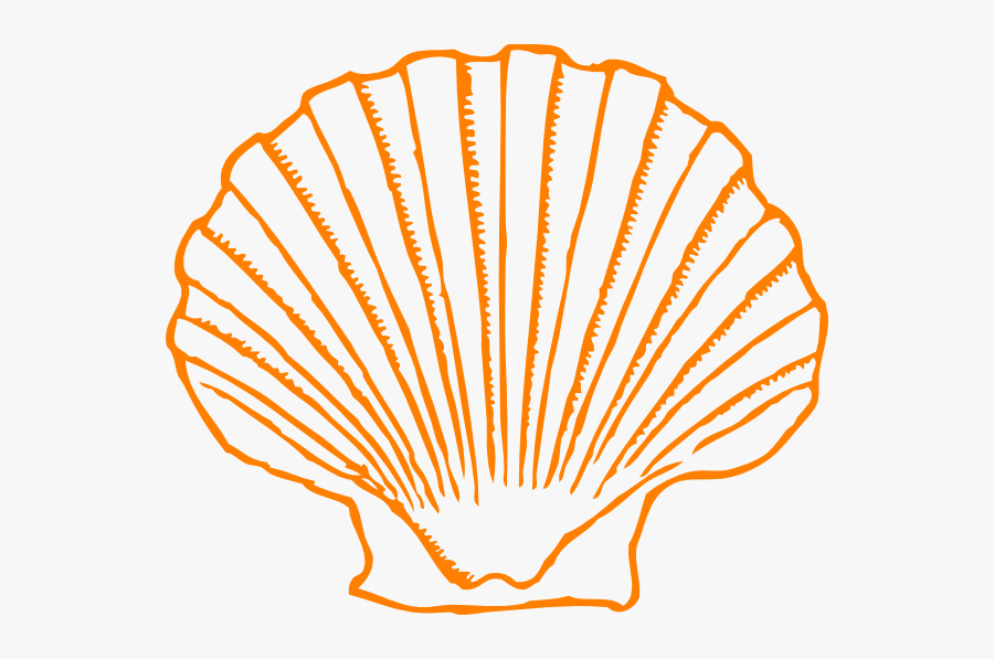Transparent Sea Shell Clip Art - Shell Clipart, Transparent Clipart