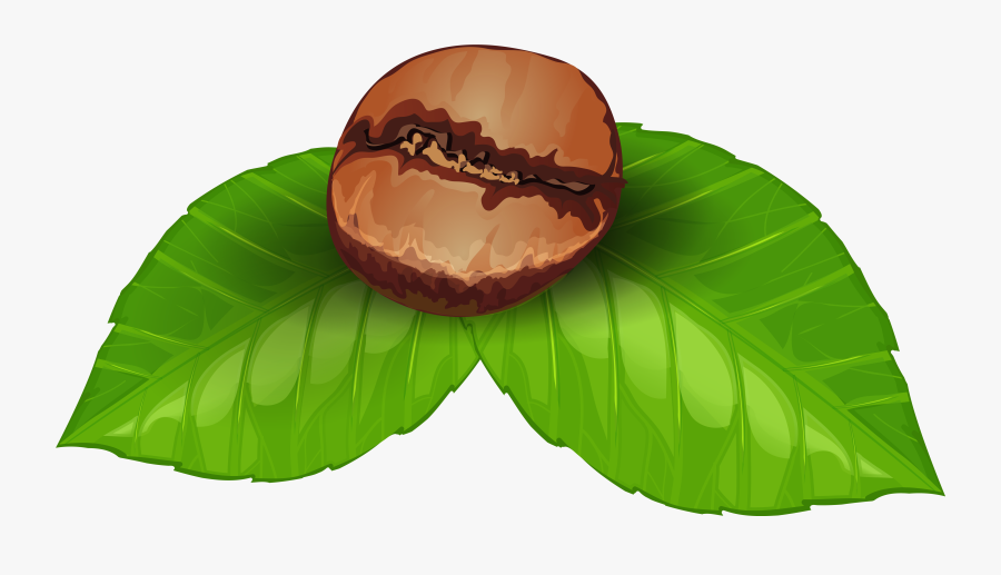 Coffee Bean Png Clipart Image - Coffee Bean Png Clip Art, Transparent Clipart