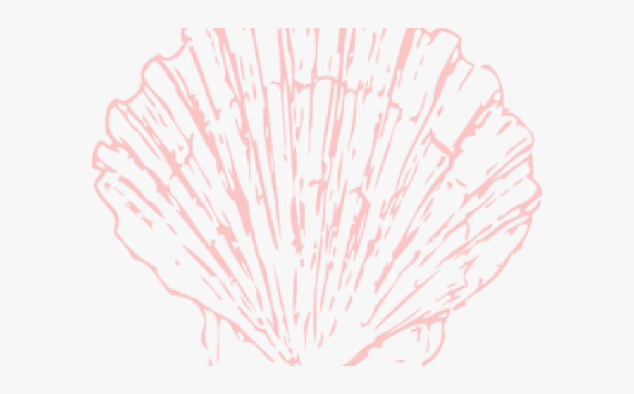 Sea Shell Clipart - Portable Network Graphics, Transparent Clipart