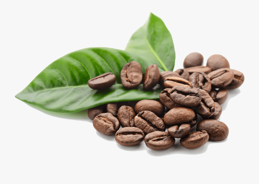 Coffee Beans Leaves - Coffee Beans Png Transparent, Transparent Clipart
