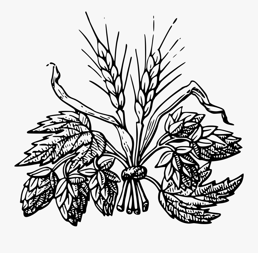 Field Clipart Rye Field - Hops And Barley, Transparent Clipart