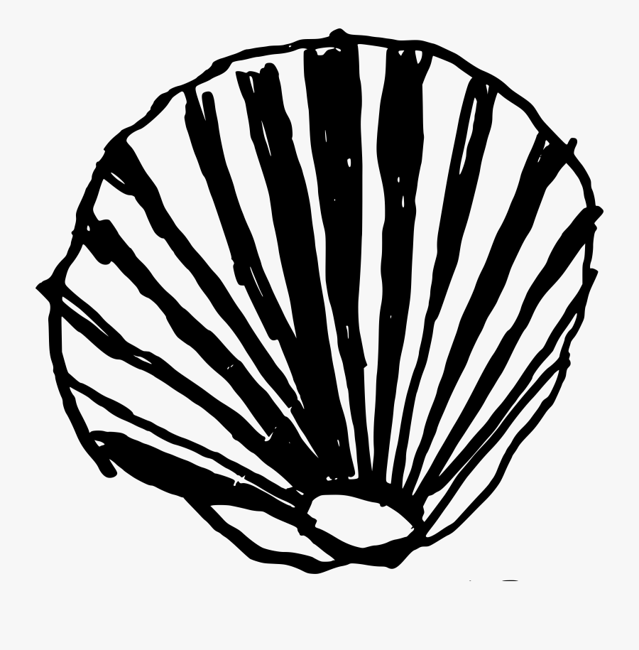 Conchas De Mar Vector Png, Transparent Clipart