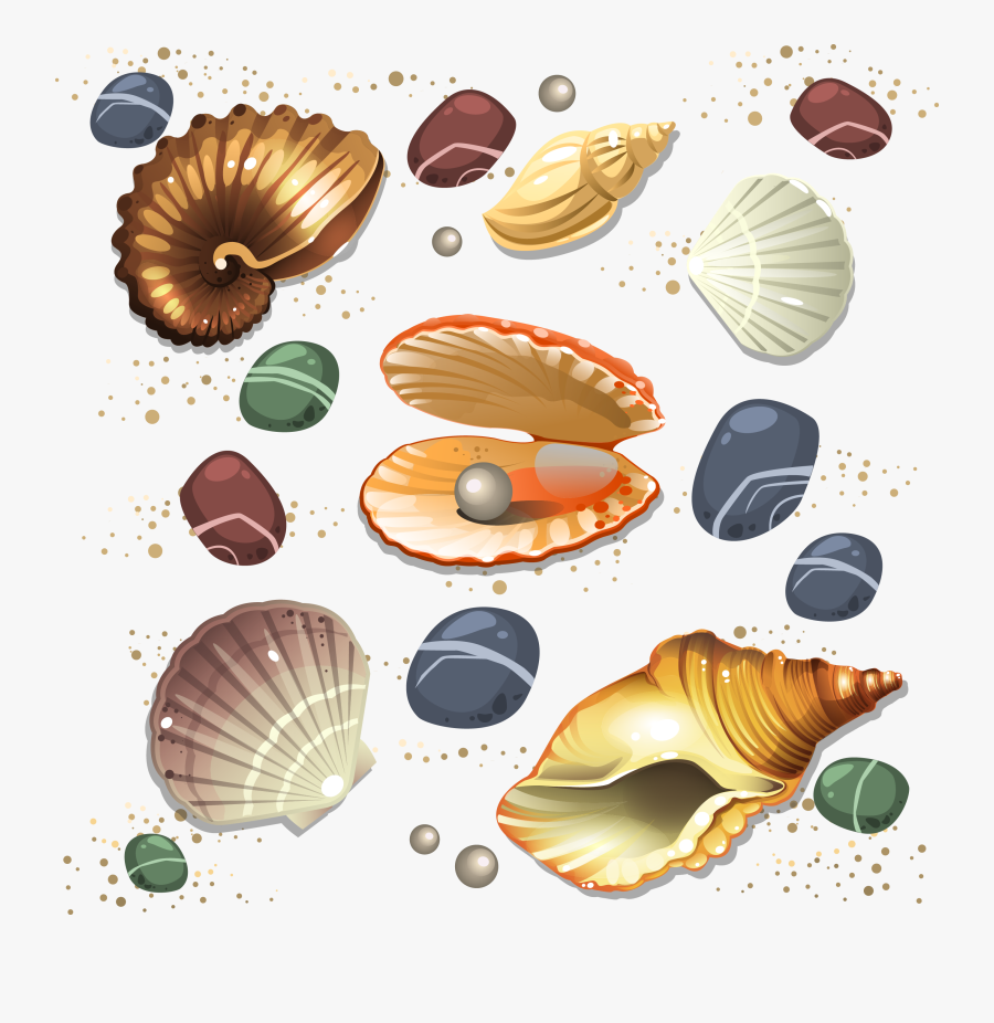 Seashell Conch Scalable Vector Graphics - Seashell, Transparent Clipart