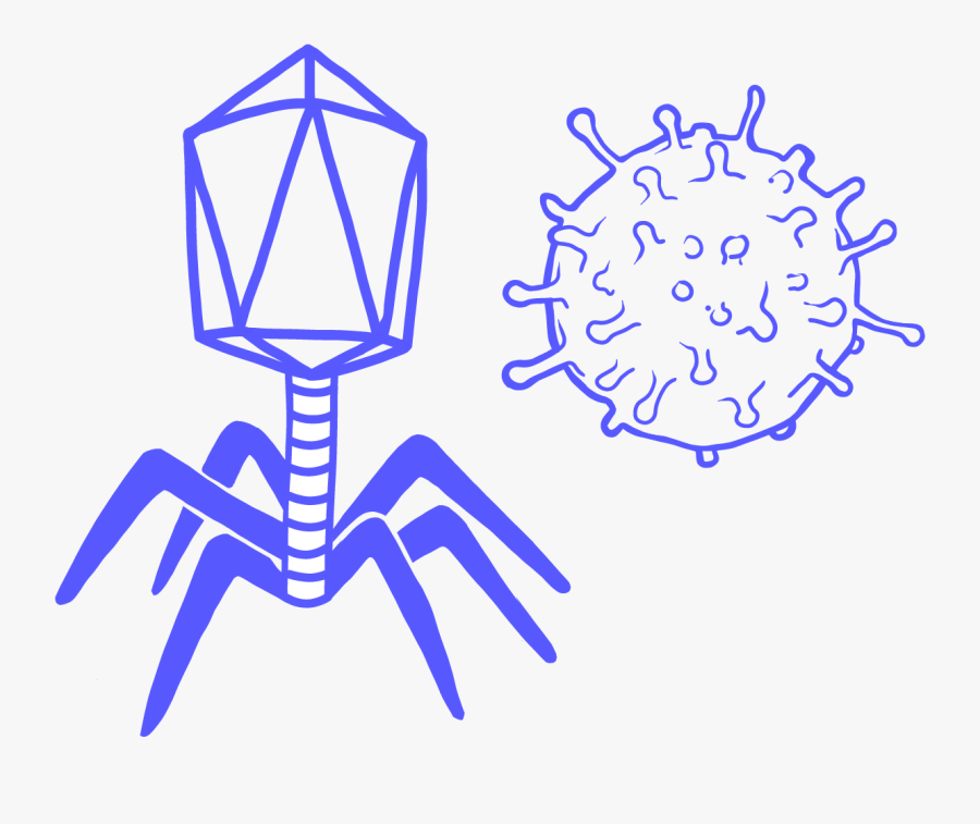 Virus Clipart Viral Infection - Bacteriophage Png, Transparent Clipart